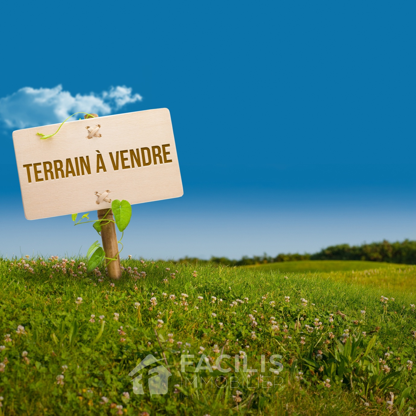 Photo bien immobilier